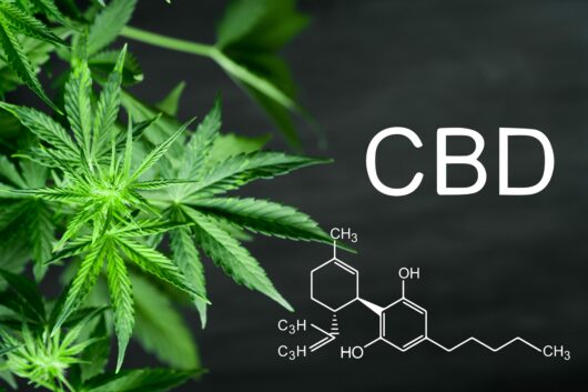 CBD TINCTURE - Image 3